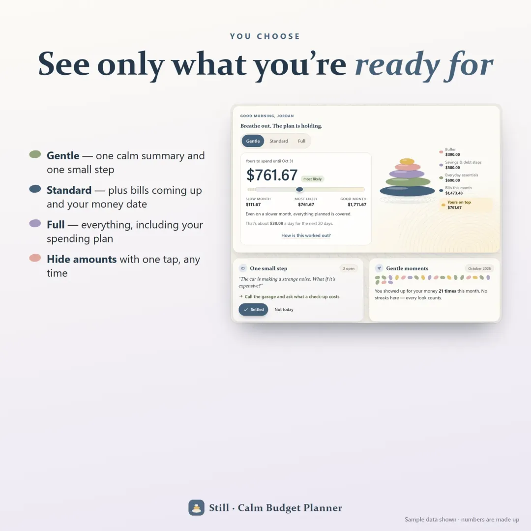 Gentle, Standard and Full views to choose how much of your money you see, plus hide amounts